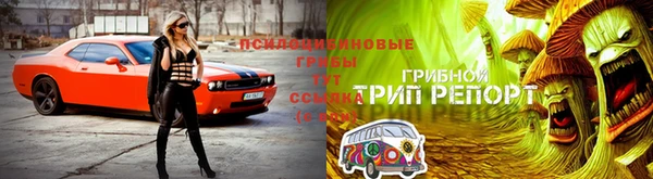 метамфетамин Инта